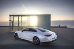 Mercedes-Benz CLS350 d 2018 года (WW)